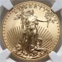 3794. USA, 25 dolarów 2011, Gold Eagle, NGC MS70, 1/2 uncji złota - 3