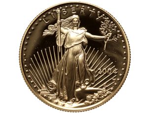 4455. USA, 25 dolarów 2004, Amerykański Orzeł, Proof, 1/2 uncji złota