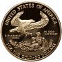 USA, 50 dolarów 2004, Amerykański Orzeł, Proof, 1 uncja złota - 3