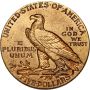 USA, 5 dolarów 1911, Filadelfia, Indianin - 3