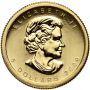 Kanada, 5 dolarów 2009, Kanadyjski Liść Klonowy, 1/10 uncji złota - 3