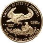 USA, 25 dolarów 2003, Amerykański Orzeł, Proof, 1/2 uncji złota - 3