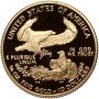 USA, 10 dolarów 2003, Amerykański Orzeł, Proof, 1/4 uncji złota - 3