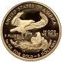 USA, 5 dolarów 2003, Amerykański Orzeł, Proof, 1/10 uncji złota - 3